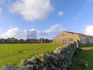 Finca Ganadera 190 ha en Cáceres