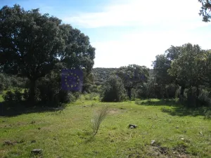 Finca Ganadera 25 ha en Cáceres
