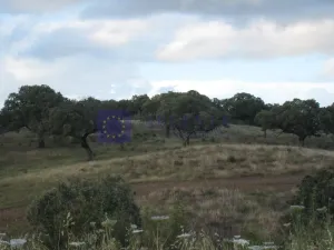 Finca de 220 ha zona Guadalupe