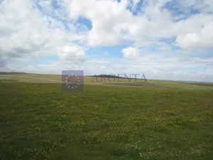 Finca Ganadera 50 ha en Cáceres