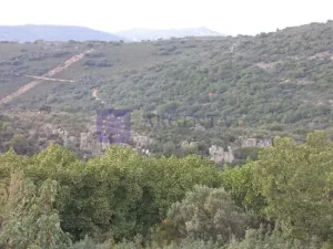 Finca Cinegética 170 ha Plasencia