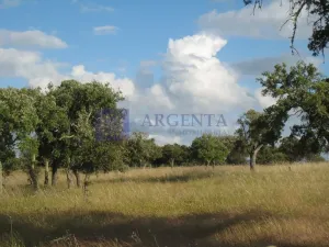 Finca Cinegética 150 ha Alcántara