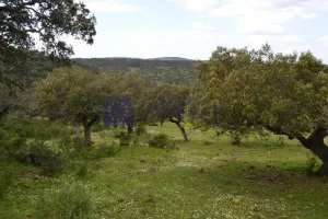 Finca 140 ha en Badajoz