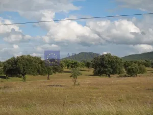 Finca Ganadera 25 ha Zona Trujillo