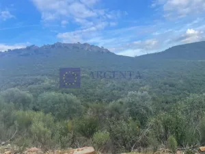 Finca Cinegética 300 ha en Alcántara