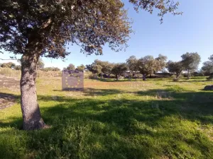 Finca Ganadera 60 ha en Cáceres