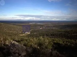 Finca de 500 ha en Mérida