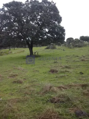 Finca para el Turismo en Plasencia