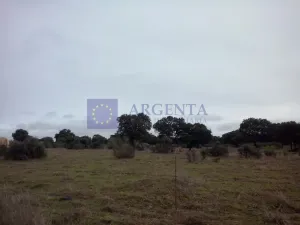 Finca Ganadera 80 ha Navalmoral de la Mata