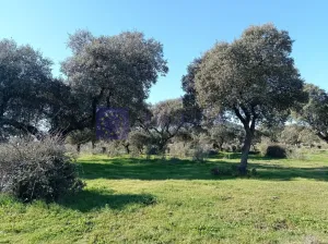 Finca Ganadera 100 ha en Cáceres