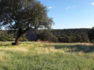 Finca de 600 ha en Don Benito