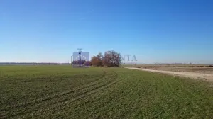 Finca de 30 ha en Plasencia