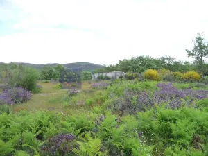 Finca de 50 ha en Trujillo