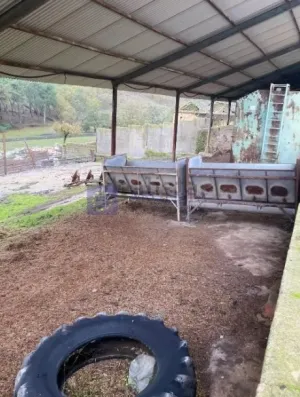 Finca de 140 ha en Trujillo