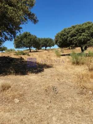 Finca Ganadera 70 ha zona de Trujillo