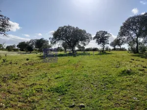 Finca Ganadera Membrío