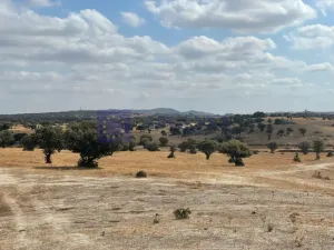 Finca Ganadera de 70 ha en Cáceres