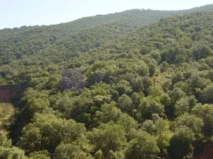 Finca Cinegética y de corcho de 70 ha Cáceres