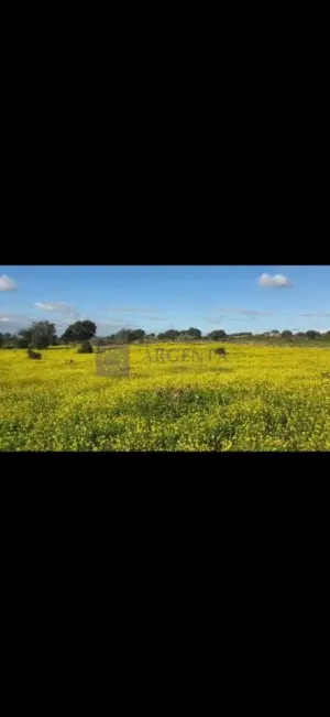 Finca Ganadera 10 ha en Valdesalor