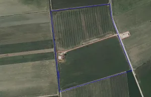 FINCA REGADIO PUERTO DE SANTA MARIA