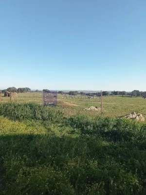 Finca Ganadera 340 ha en Jaraicejo