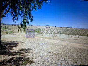 Se vende finca 400 ha en Madroñera