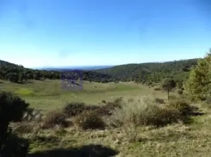 Finca Ganadera 70 ha en Jaraicejo