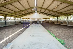 Finca Ganadera de 65 ha Navalmoral de la Mata