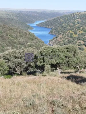 Finca Ganadera 120 ha en Cáceres
