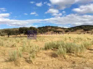 Finca Ganadera de 180 ha zona Plasencia