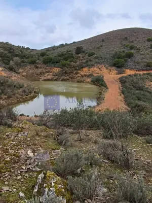 Finca Cinegética 700ha Navalmoral de la Mata