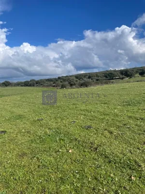 Finca Ganadera 260 ha en Plasencia