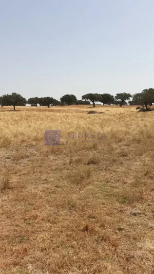 Finca Ganadera 600 ha Alcuéscar