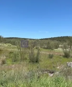 Finca Ganadera 250 ha en Trujillo