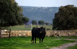 Finca de 360ha en Coria