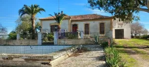 Finca Amplia de 3,7 hectarias