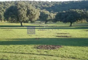Finca en venta en Coria 425 ha