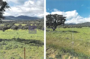 Se Vende Finca Ganadera y Agrícola