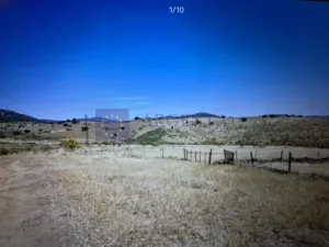 Se vende finca Ganadera y de Siembra