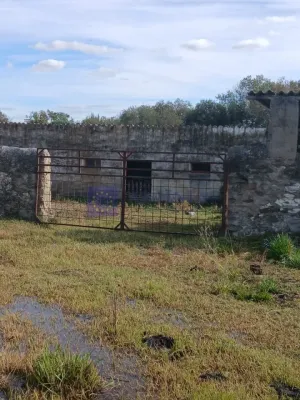 Se Vende Finca Regadío en Coria