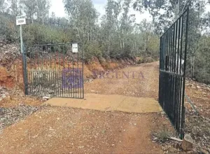 Finca Ganadera y Cinegética V. de la Serena