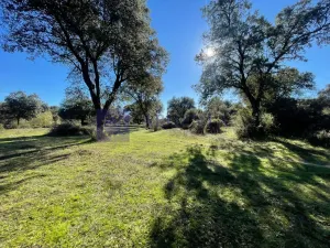 Se vende finca 70 ha Miajadas