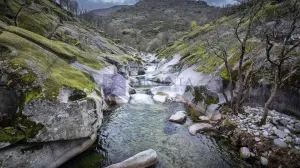 Se vende finca zona Jerte