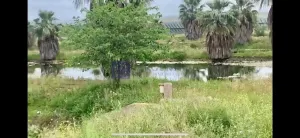 Se Vende Finca Ganadera/Industrial