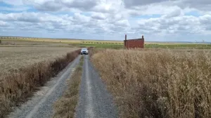 27 Hectáreas regadío Trigueros