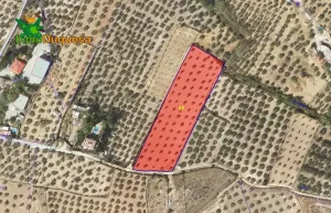 Finca rústica en Cogollos Vega (con toma de luz y agua en la entrada)