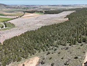 Sale a SUBASTA PUBLICA a precio de chollo