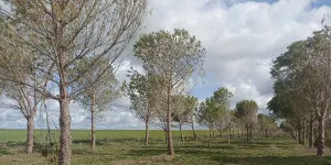 Venta finca rústica  en Salamanca