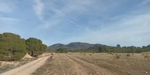 Finca rústica en Tobarra