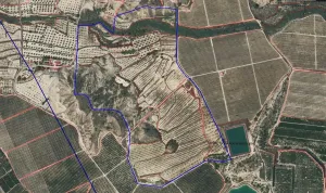 Finca Rustica en Orihuela - Alicante